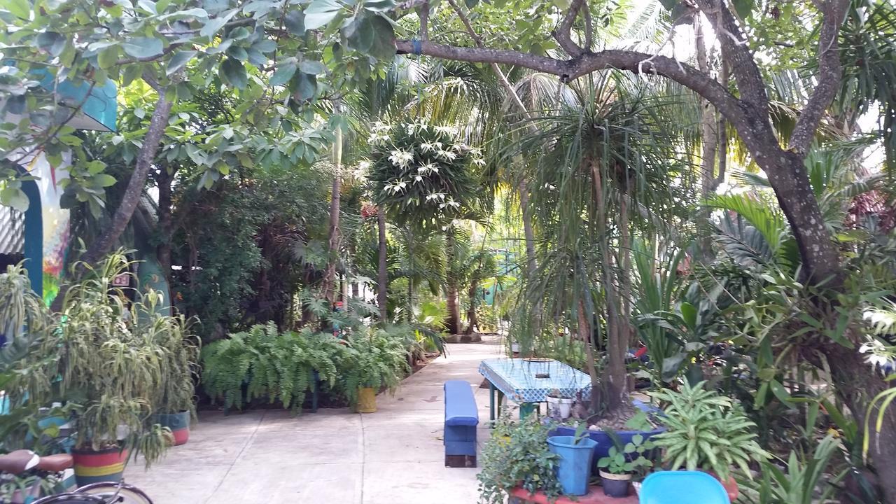 Rancho Tranquilo Auberge de jeunesse