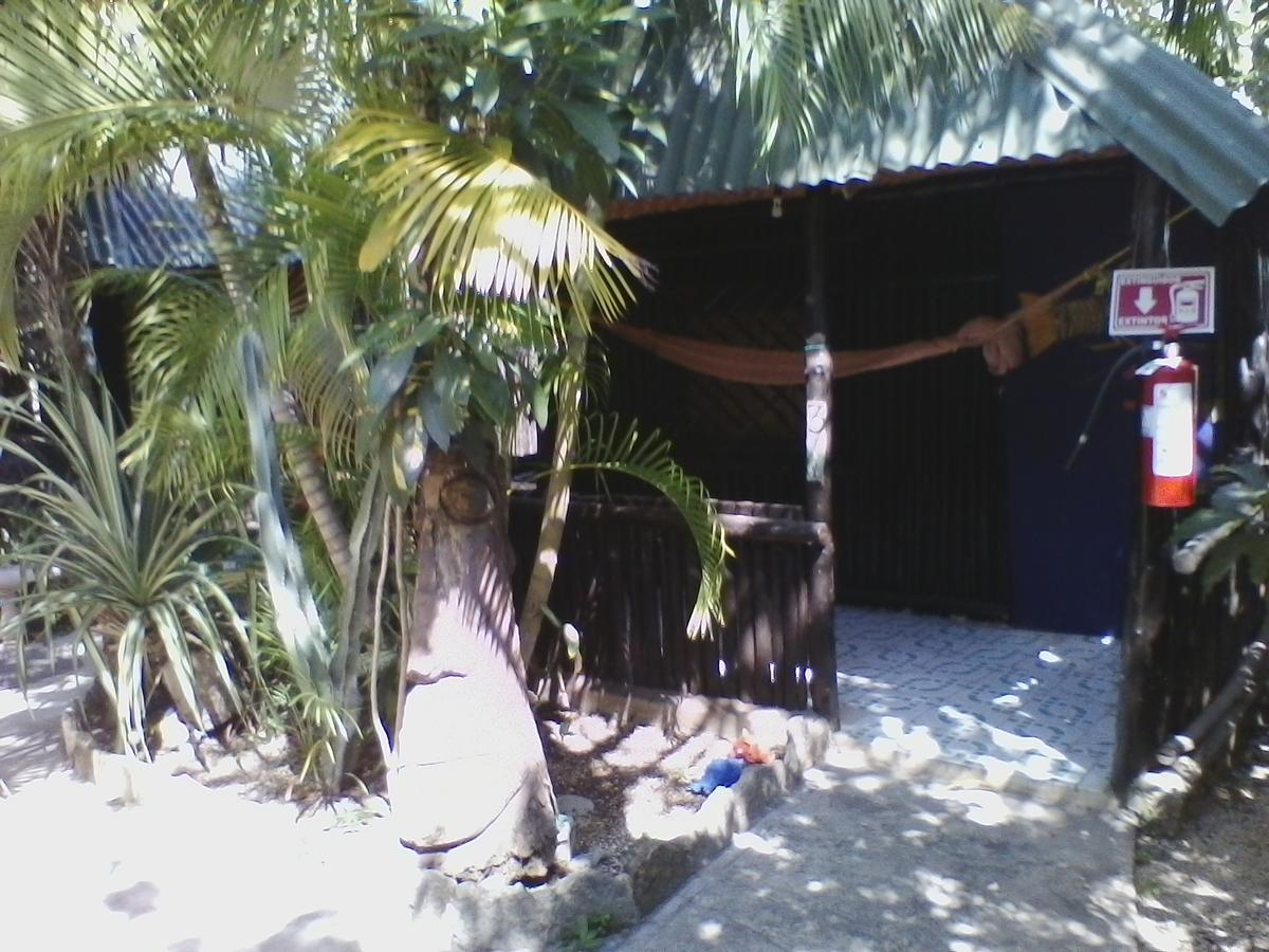 Rancho Tranquilo Auberge de jeunesse Tulum