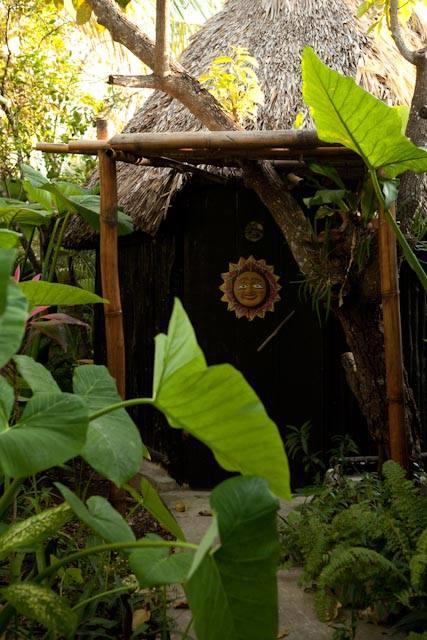 Rancho Tranquilo Auberge de jeunesse Tulum