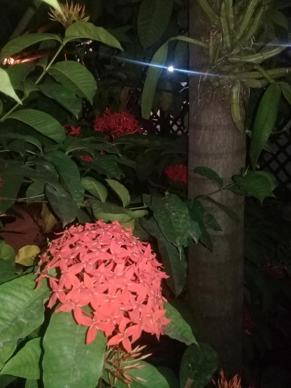 Auberge de jeunesse Rancho Tranquilo *