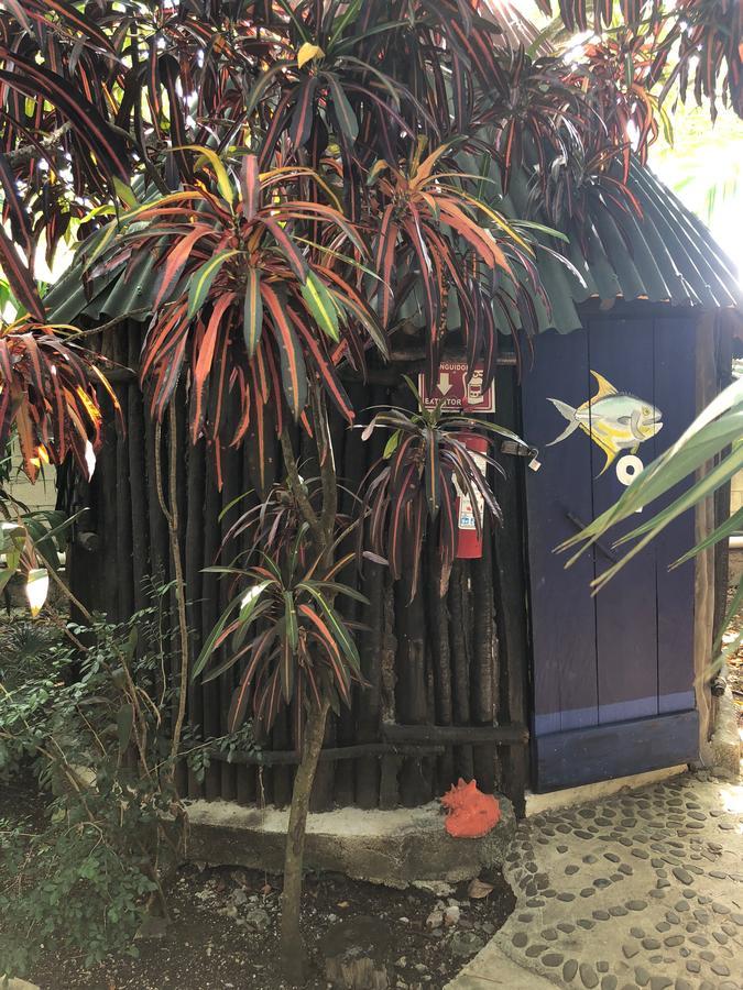 Auberge de jeunesse Rancho Tranquilo *